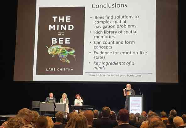 3 Lars Chittka Mindofthebee