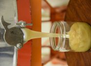 HBV Honingpot vullen