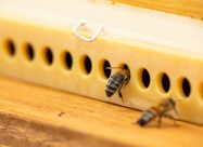 HBV Polyvar Yellowstrip Aan Vliegopening
