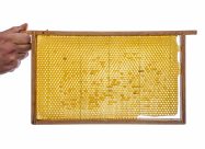 HBV Waswafel In Raam