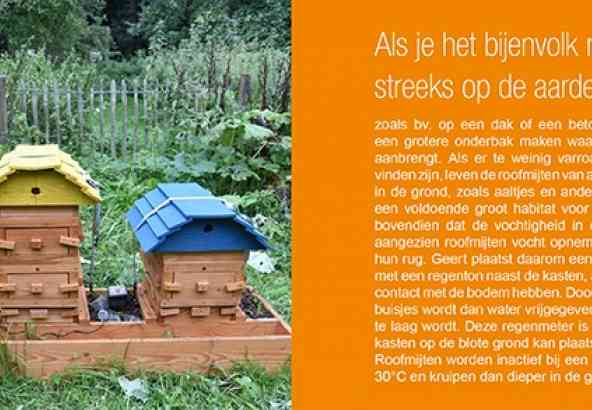 Als Je Het Bijenvolk Niet Rechtstreeks Op De Aarde Kan Zetten...