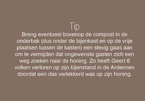 Tip